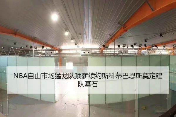 NBA自由市场猛龙队顶薪续约斯科蒂巴恩斯奠定建队基石